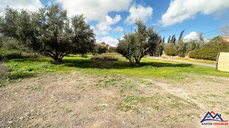 Lots de terrain titrés à vendre – Route de l’Ourika, Marrakech (à 6 km du centre) 2