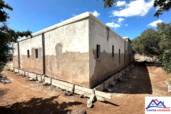 À Vendre – Villa de Charme à 20 km d’Essaouira – Route d’Agadir 8